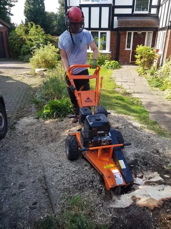 Stump grinding services in Bristol
